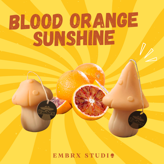 Mushroom Soy Wish Candle - Blood Orange sunshine